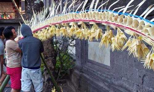 Umat Hindu Bali sedang menghiasi bambu yang disebut Penjor