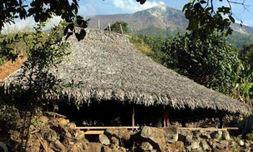 Rumah adat di kampung adat Lewohala. ( foto : Berti Numberi )