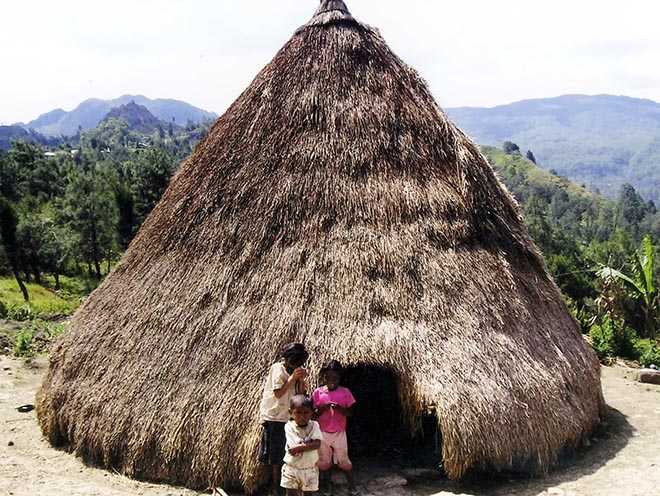 Rumah alang-alang di Kelurahan Belo, Kota Kupang.