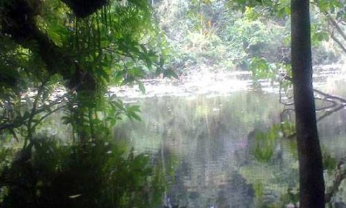 Danau Sano Limbung (foto : richard kandy)