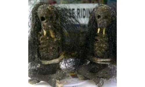 ini Jenglot yang ditemukan warga di Pantai Muaya-Jimbaran