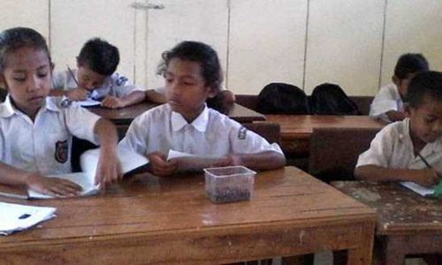 Murid salah satu Sekolah Dasar di Wureh Kabupaten Flotim, NTT (foto : e. kleden)