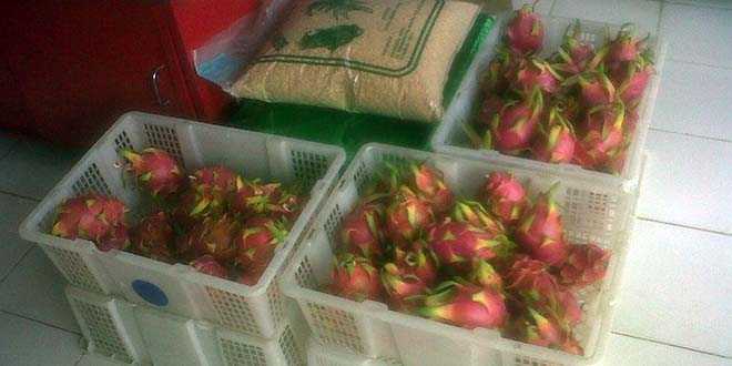 Buah Naga yang di jual Ronny Semara (Foto: felixaly)