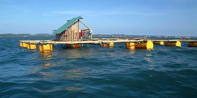 Keramba Lobster di Laut Tembere (foto habib)