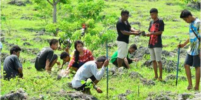  Kegiatan Penghijauan di Kota Kupang oleh AMMAPAI (ist)