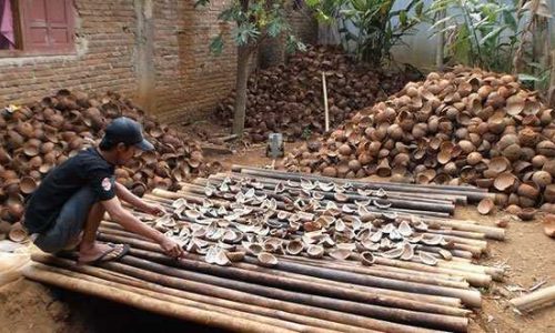 Kopra, sebabai salah satu Potensi unggulan NTT yang disepelekan pemerintah. (foto:sandrowangak)