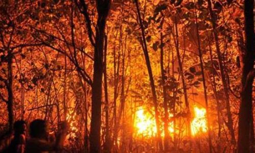 Ilustrasi - Kebakaran hutan dan lahan. (FOTO ANTARA/Zabur Karuru)