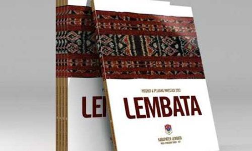 Tenun Lembata (ist)