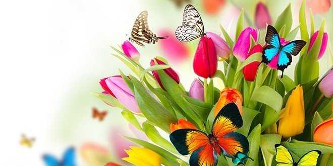 Bunga. Sumber: google.com