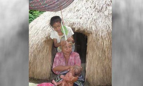 Foto : Upacara Tapoen Liana di Pulau Timor (ist)