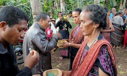 Foto : Kebiasaan orang desa di Flores menerima tamu dengan tata cara adat, seperti yang dilakukan masyarkat Lewotanaole (foto:masankian)