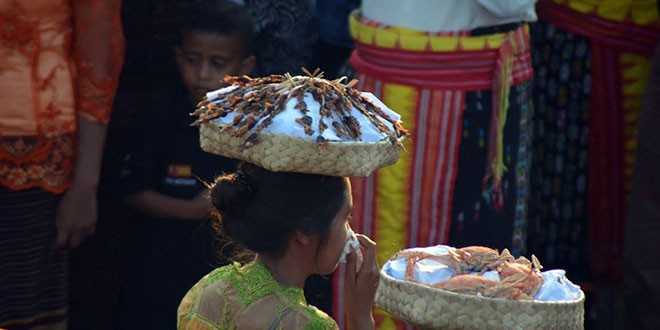 Siput kering yang dibawah oleh salah seorang peserta karnaval budaya (foto:sandrowangak)