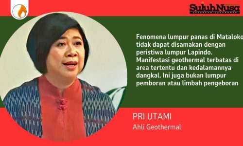 PLN Tegaskan Pengembangan Geothermal Berbasis Ilmiah, Akademisi Pastikan Manifestasi Alamiah