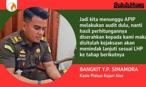 Bau Korupsi di Pulau Buaya, Insentif Dibayar di Atas Kertas, Fakta Nol di Lapangan