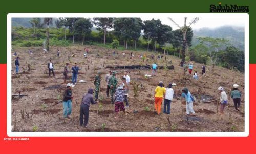 PLN UIP Nusra Luncurkan Program Agroforestry Hetero, Dukung Kemandirian Ekonomi Masyarakat Desa Wewo