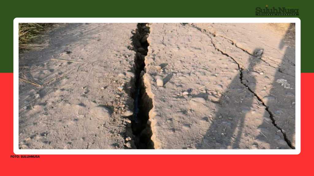Update Gempa M 7,7 Flores, BNPB: 14 Orang Meninggal, 13 Luka dan 2000 Penyintas, Nenek 90 Tahun Selamat
